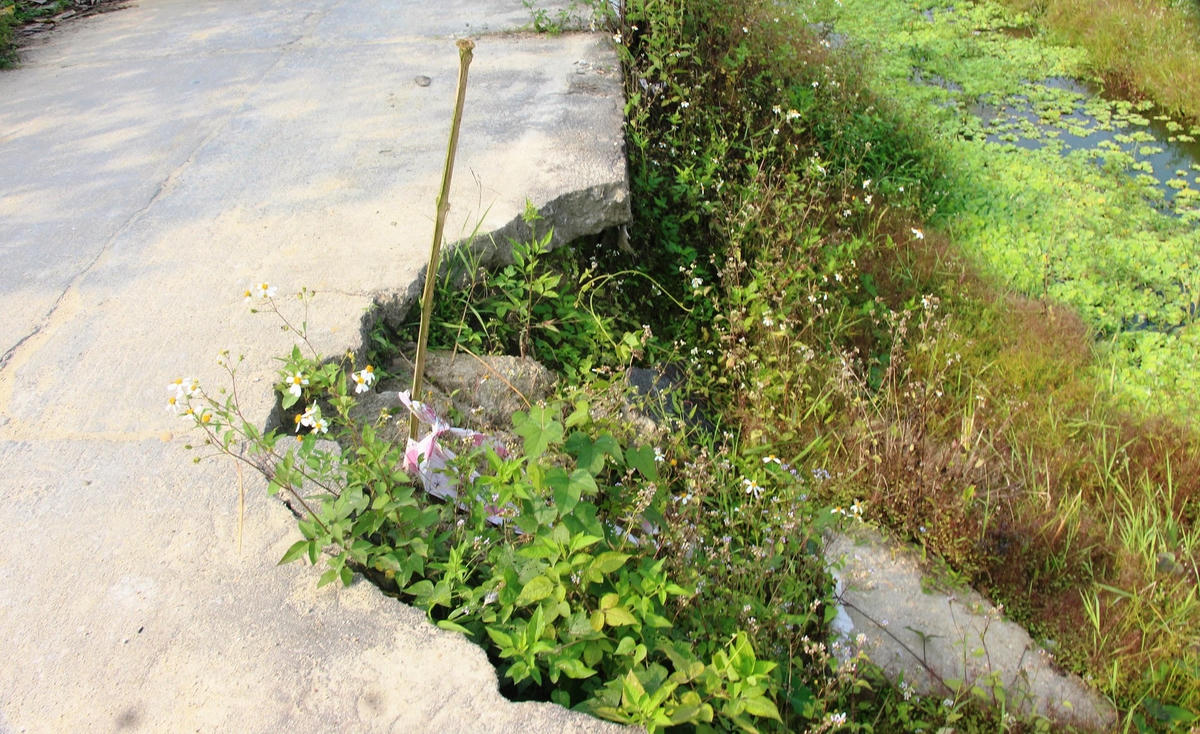 Một trong những điểm sạt lở ở đường cũ không được giăng dây cảnh báo.