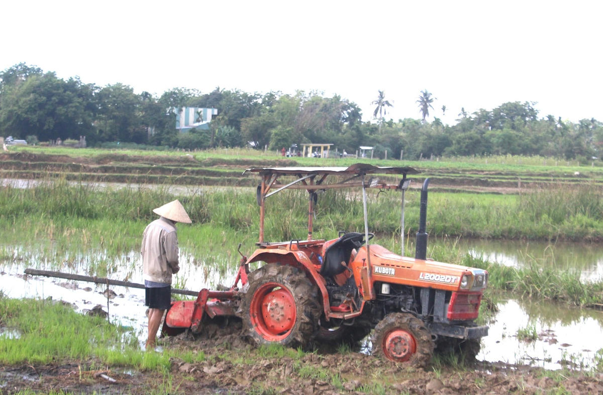 Người dân đội nắng nóng dùng máy móc để cày bừa ruộng.