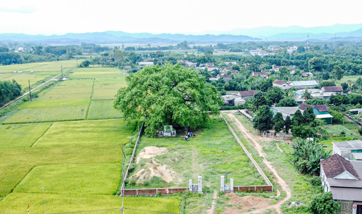 dji_0019.jpg