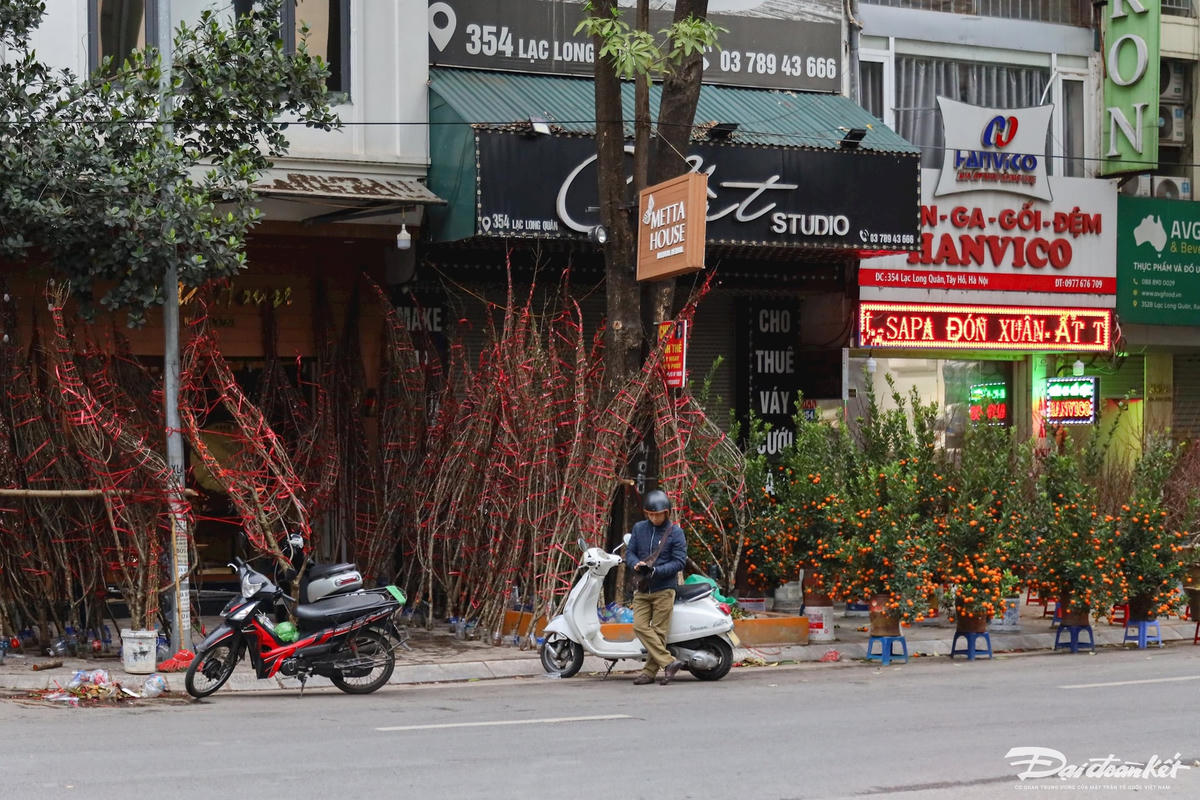quat_dao-le-khanh51.jpg