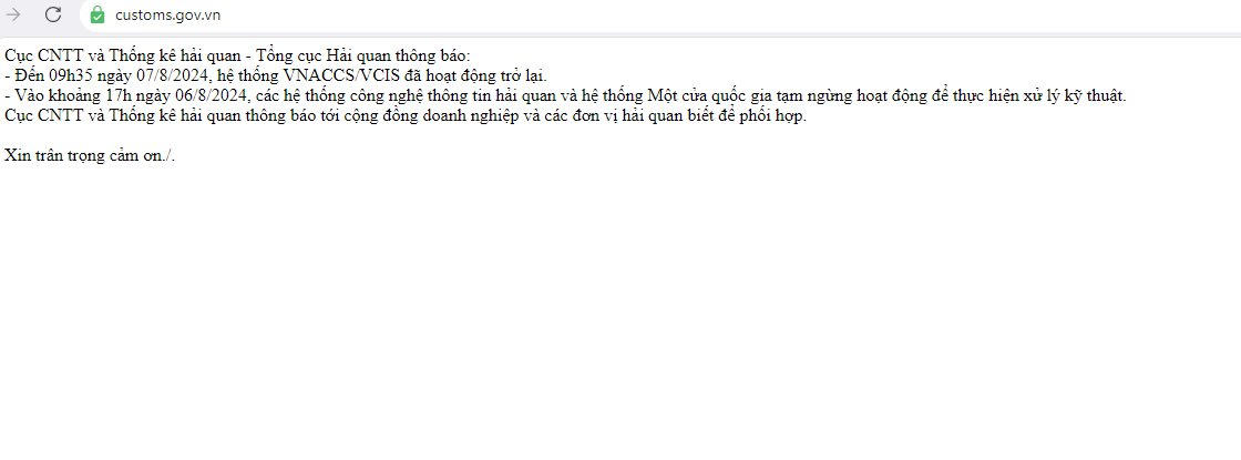 he-thong-hai-quan-dien-tu-gap-su-co-ddk.png