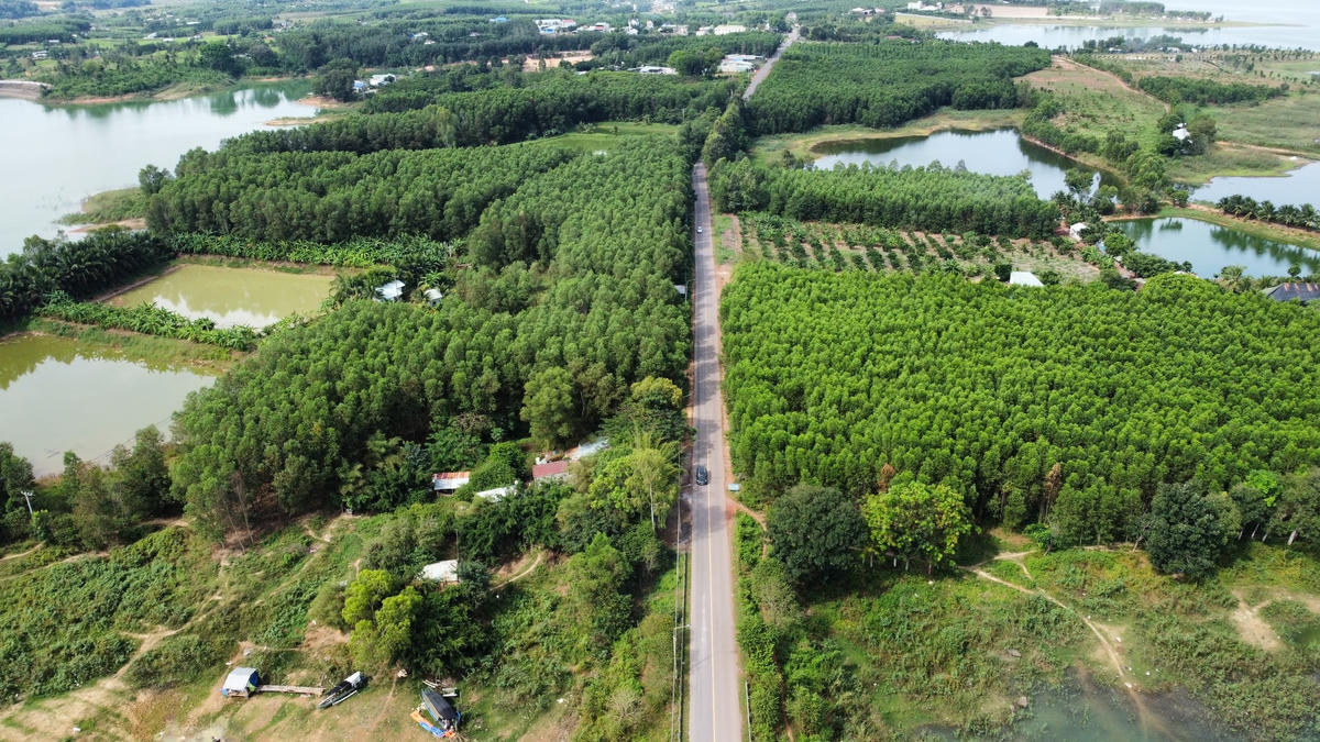 Rừng Mã Đà thuộc Khu bảo tồn Thiên nhiên Văn hóa Đồng Nai, huyện Vĩnh Cửu. Rừng Mã Đà là cánh rừng nguyên sinh nằm liền kề với hồ Trị An chứa đựng khung cảnh thiên nhiên hùng vĩ. Ảnh: Mạnh Thìn.