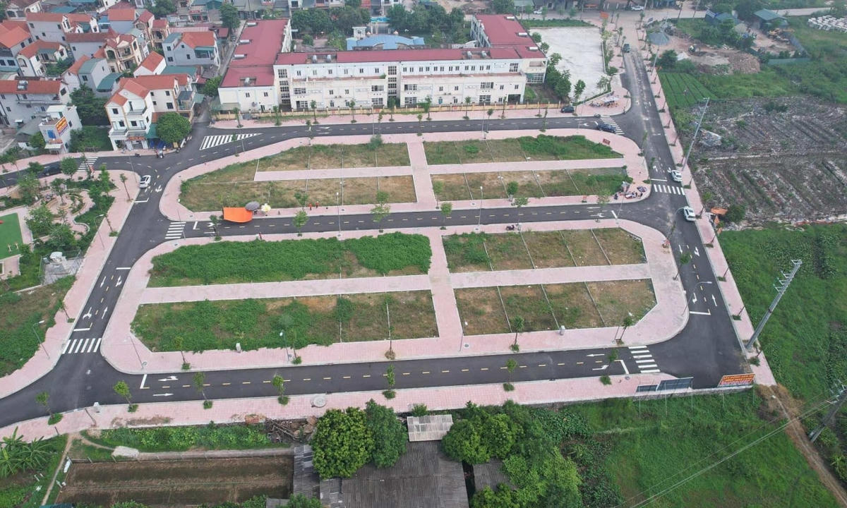 ANH A1