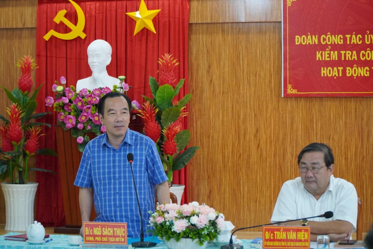 Phó Chủ tịch Ngô Sách Thực phát biểu tại buổi làm việc.