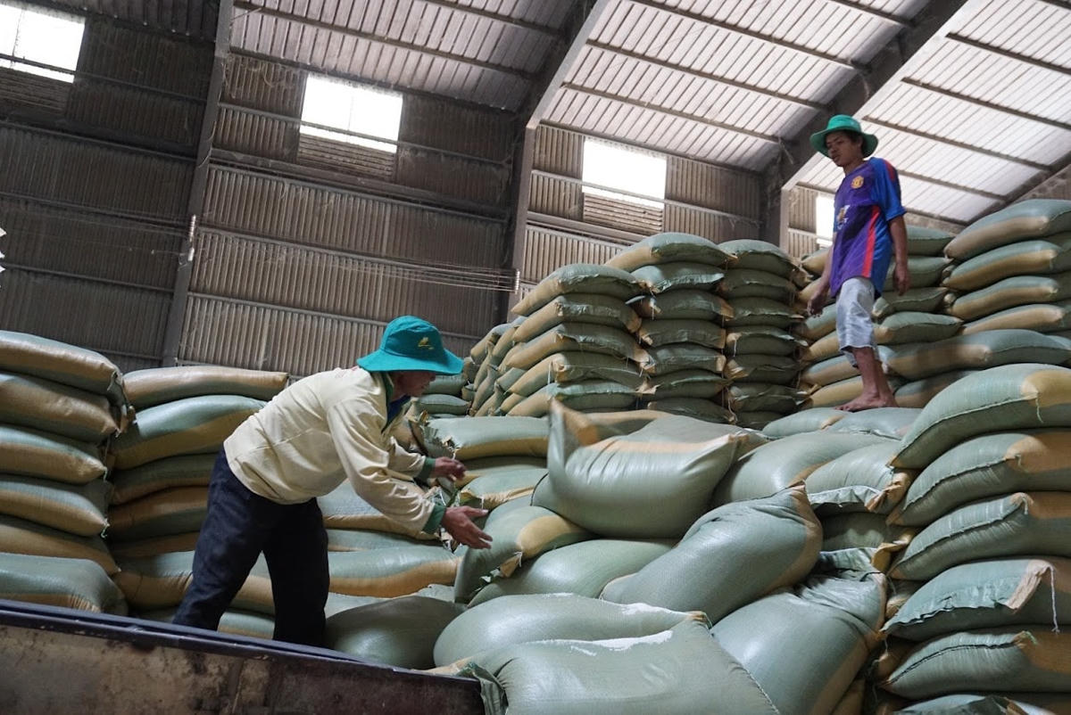 Cùng với con số xuất khẩu ấn tượng trong năm 2022, gạo Việt giờ đã được định danh tại nhiều siêu thị, cửa hàng ở nước ngoài. Ảnh: Quang Vinh