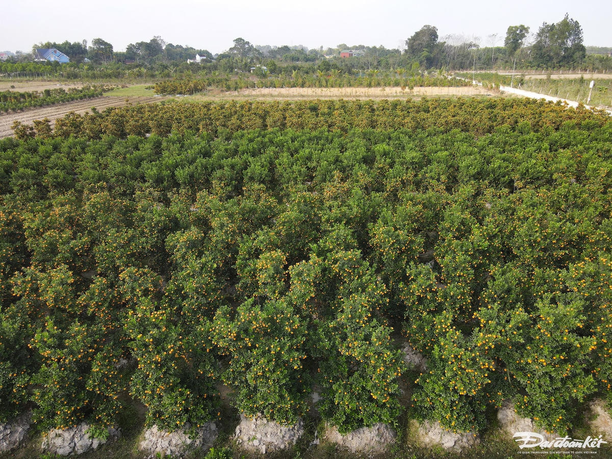 W_dji_fly_20240105_151250_406_1704442397230_photo.jpg