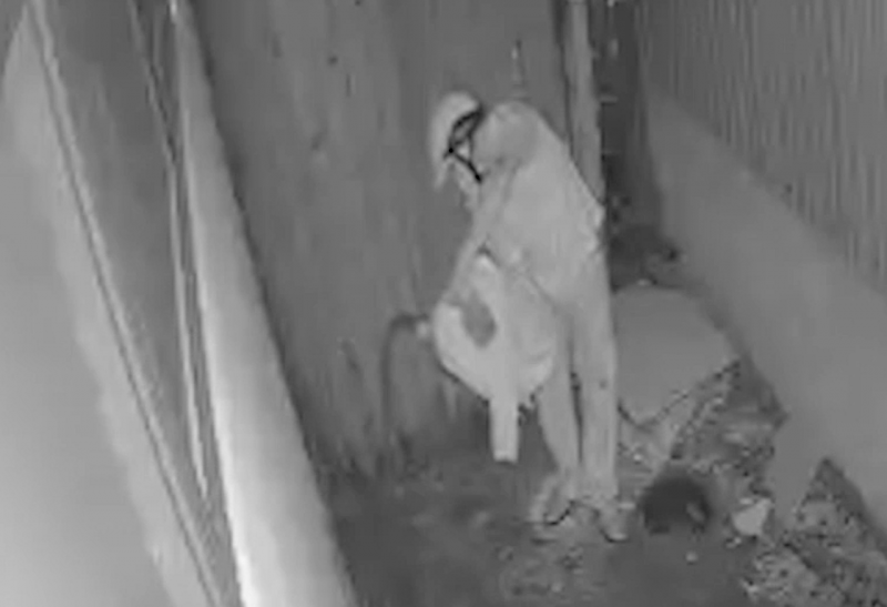 Nguyễn Văn Nông đang đổ xăng vào nhà bà Hòa (ảnh từ clip).