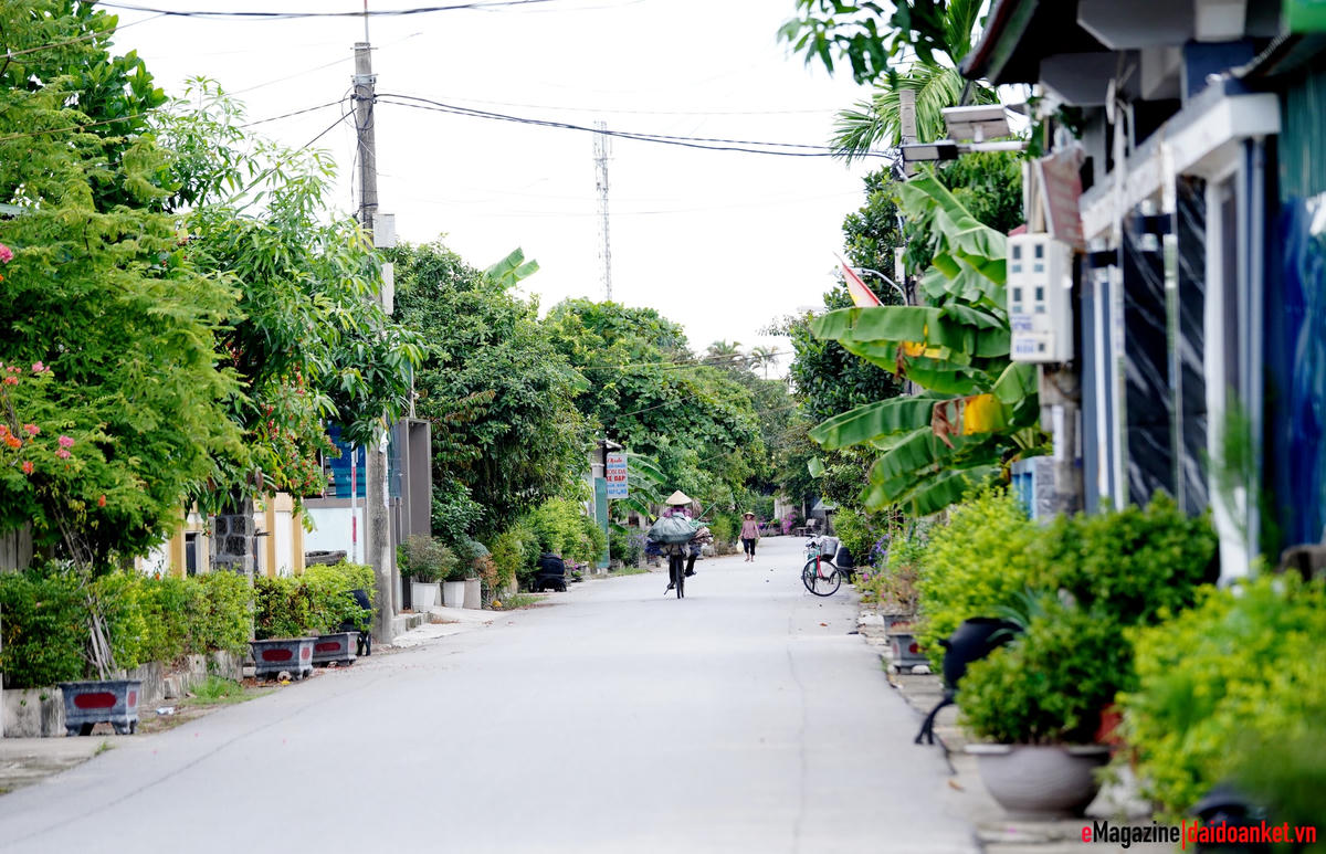 Mọi ngả đường ở Đức Phú đều nhựa hóa khang trang.
