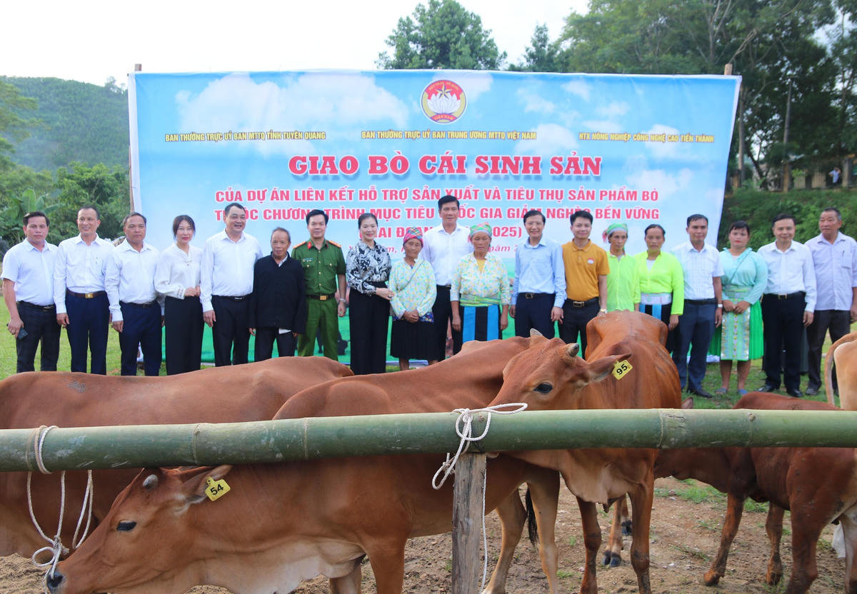 Phó Chủ tịch Trương Thị Ngọc Ánh dự Chương trình giao bò cái sinh sản cho các hộ nghèo thuộc xã Yên Lâm.