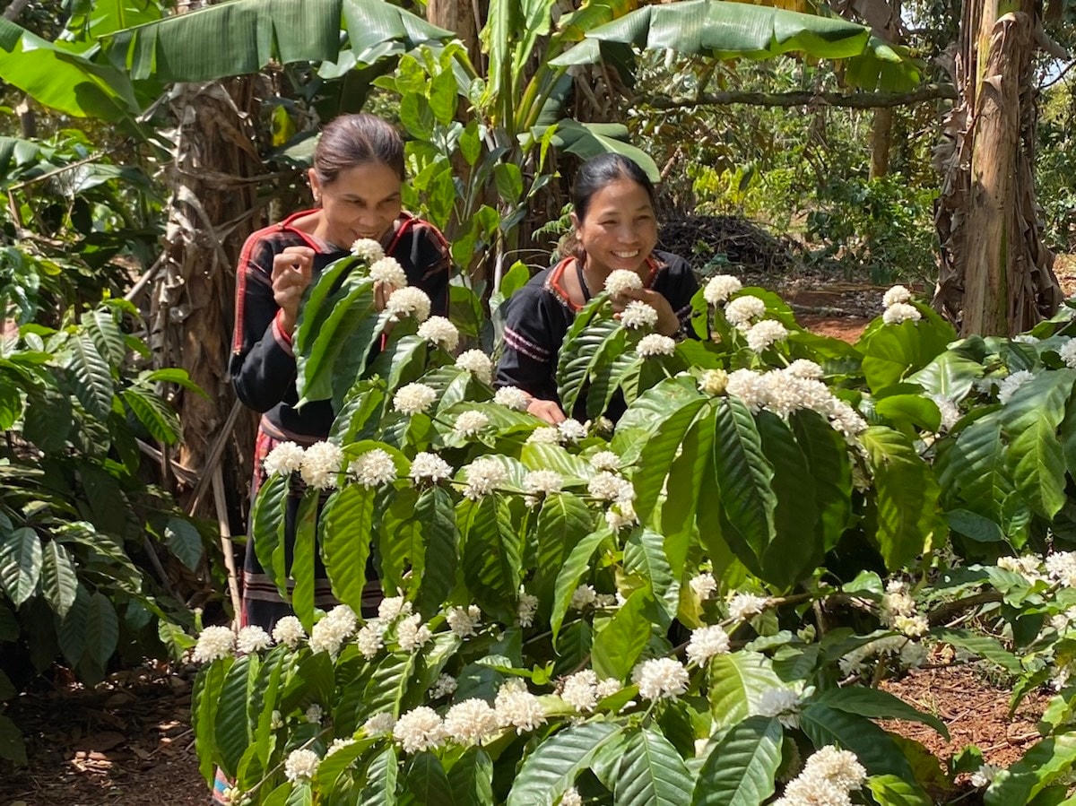 Chương trình MTQG 1719 giúp nhiều đồng bào dân tộc thiểu số mở rộng đất canh tác, ổn định cuộc sống, thoát nghèo. Ảnh: khanhhoa.gov.vn