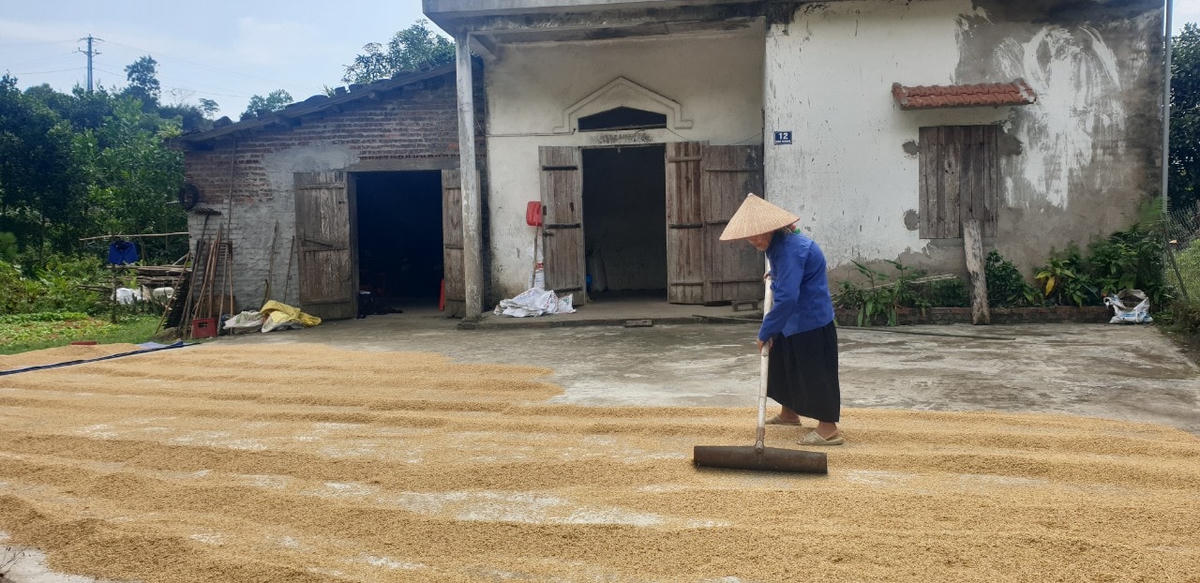 Ở Đại Dực chưa có hộ nào bỏ ruộng, không có nhà nào phải đi mua gạo. Lương thực đủ cho người dân ăn và chăn nuôi quanh năm.