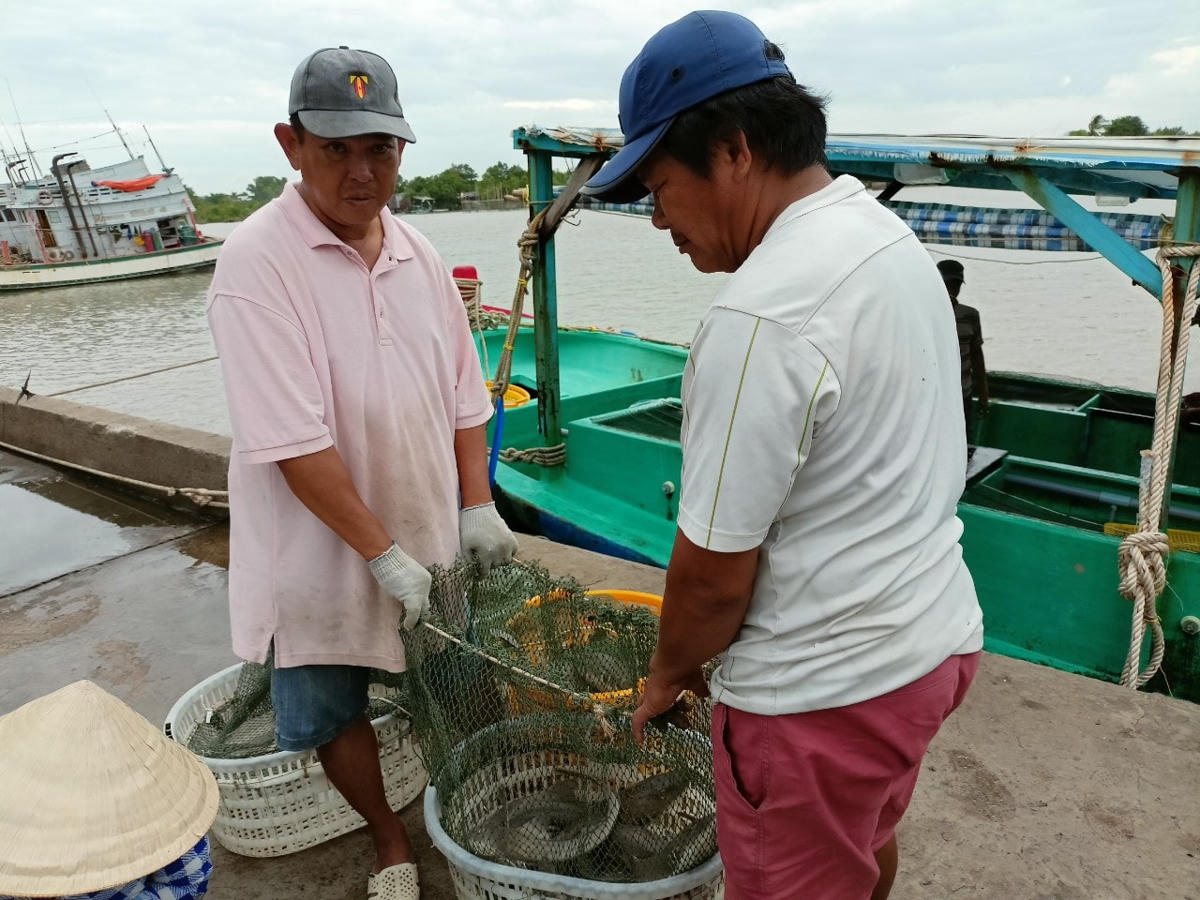 Chuyển hải sản lên bờ sau một chuyến bội thu.