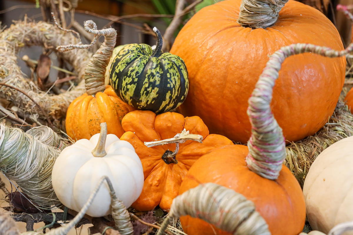Cận cảnh những set bí ngô Halloween tiền triệu đắt khách