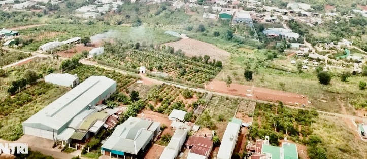 Thửa đất số 33, tờ bản đồ số 24 ở tổ 1, phường Phù Đổng, TP Pleiku.