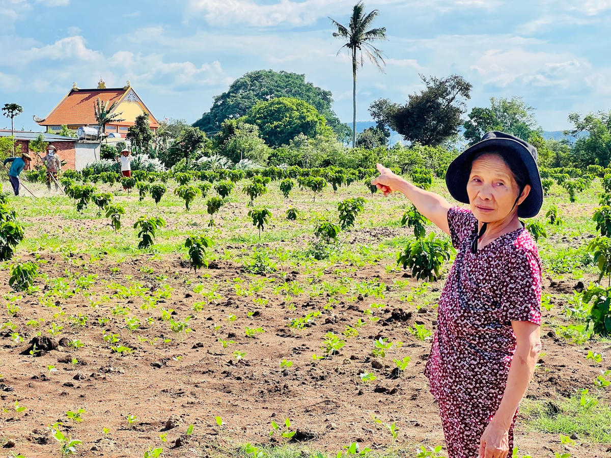 Trang trại chăn nuôi chỉ cách chùa Phước tiện khoảng 200 m.