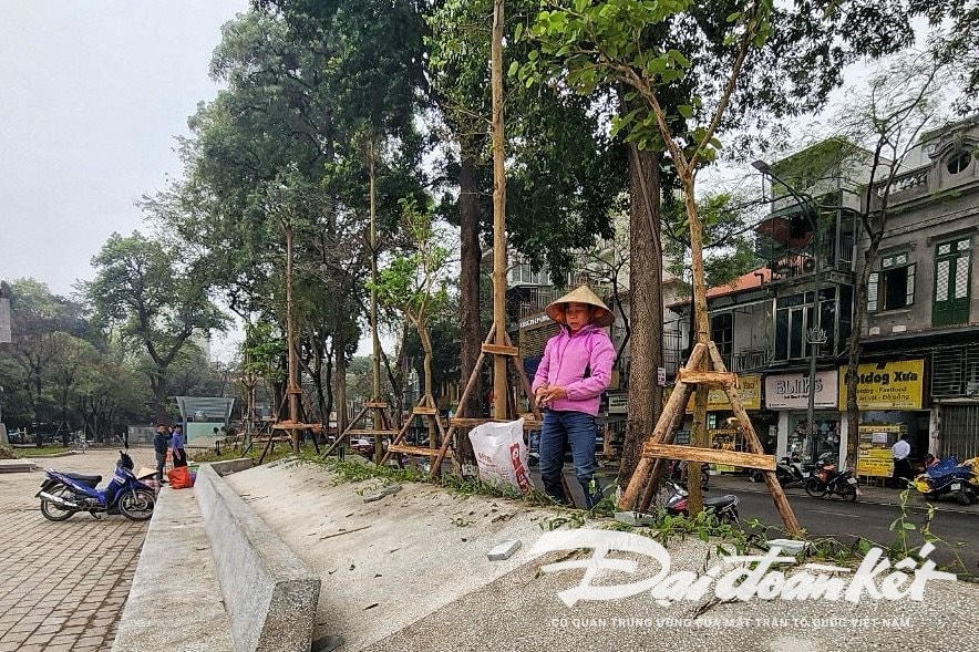 W_vuon_hoa_hang_dau-le-khanh6.jpg