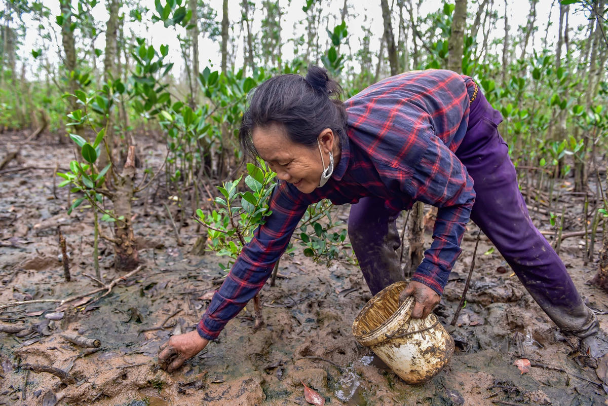 Người dân mò cua, bắt cáy dưới lớp bùn lầy.
