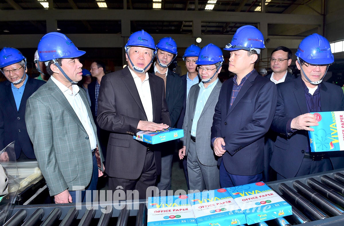 Đoàn công tác của Trung ương, lãnh đạo tỉnh tham quan các sản phẩm giấy của Công ty cổ phần Giấy An Hòa.