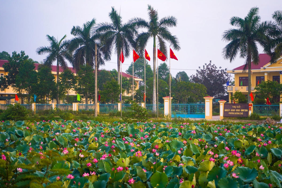 Cách trung tâm thành phố Huế khoảng 11km về phía Bắc, làng quê La Chữ (phường Hương Chữ, thị xã Hương Trà, Thừa Thiên Huế) mang trong mình vẻ đẹp đặc trưng của một làng quê Việt Nam.