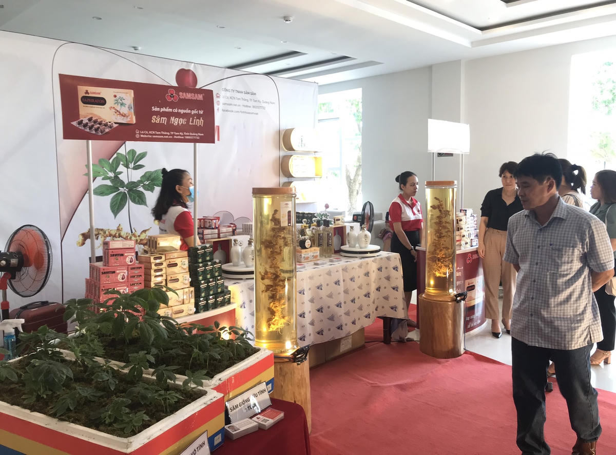 Các đại biểu tham quan khu trưng bày sâm Ngọc Linh tại hội thảo.