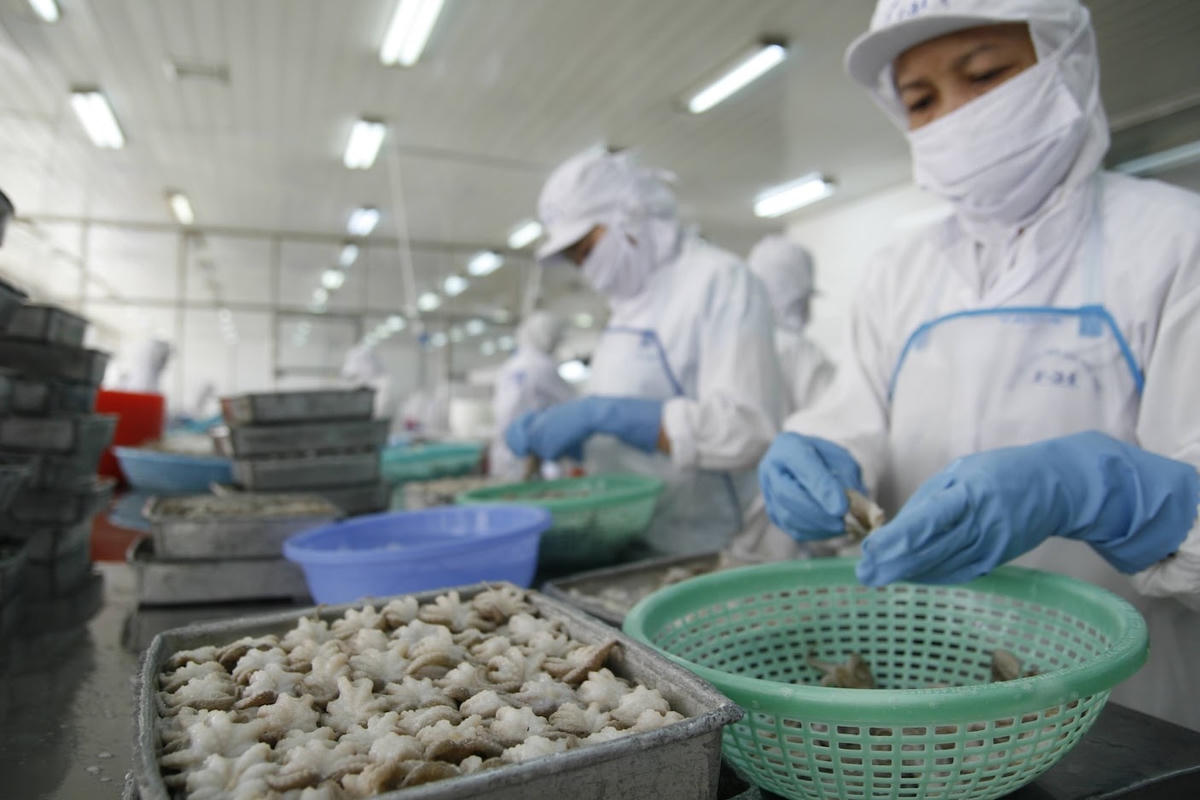 Xuất khẩu thủy sản tăng nhẹ trong tháng 2. Ảnh: Quang Vinh.