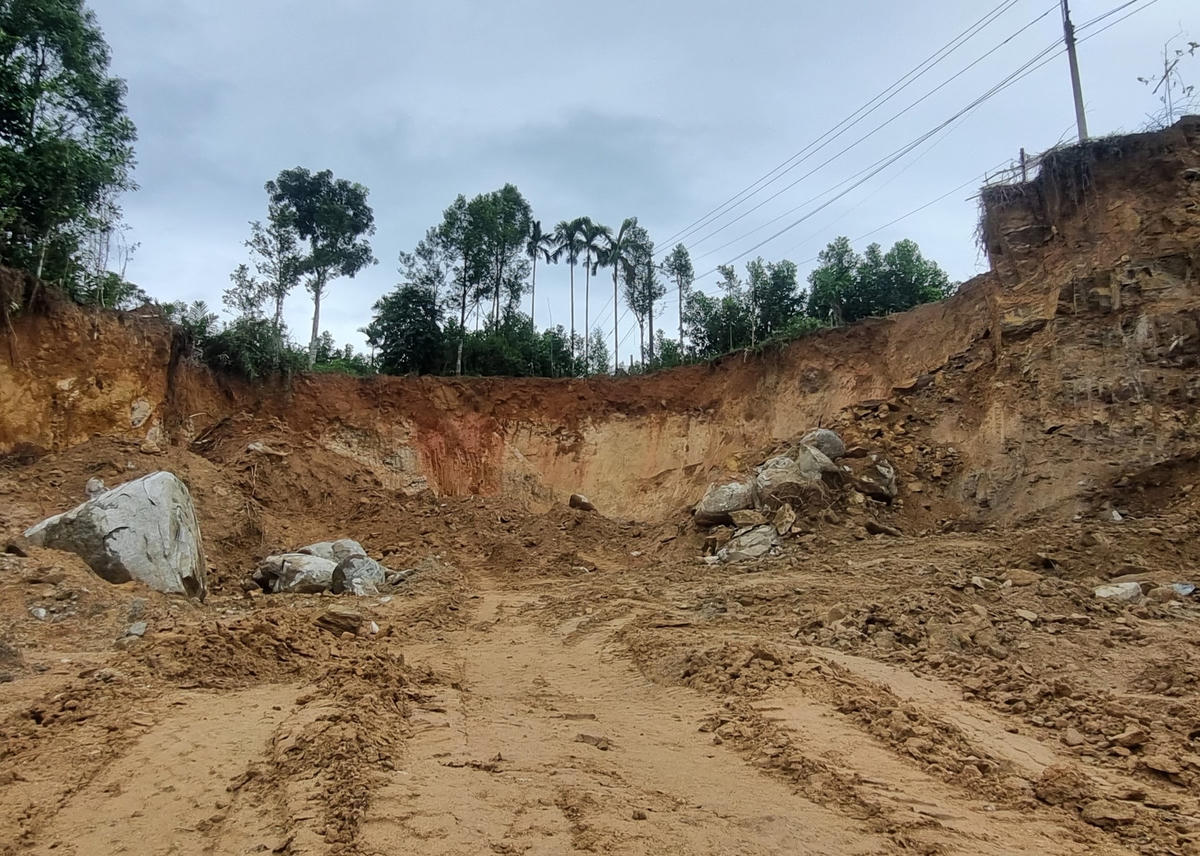 Khu vườn đồi nhà bà Bùi Thị X. được hạ cốt lấy đất.