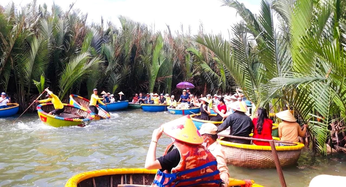 Du khách tham quan rừng dừa Bảy Mẫu.
