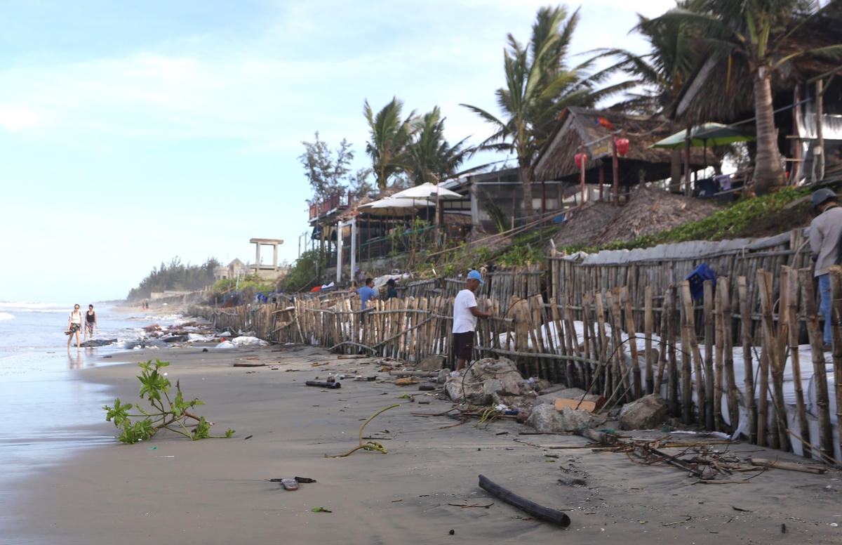Người dân khối phố An Bàng đang đóng cọc tre đoạn bờ biển sạt lở.