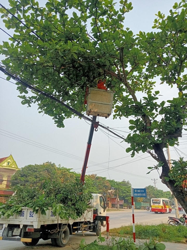 Công ty Điện lực Hà Tĩnh nâng cao hiệu quả công tác tuyên truyền bảo vệ hành lang an toàn lưới điện