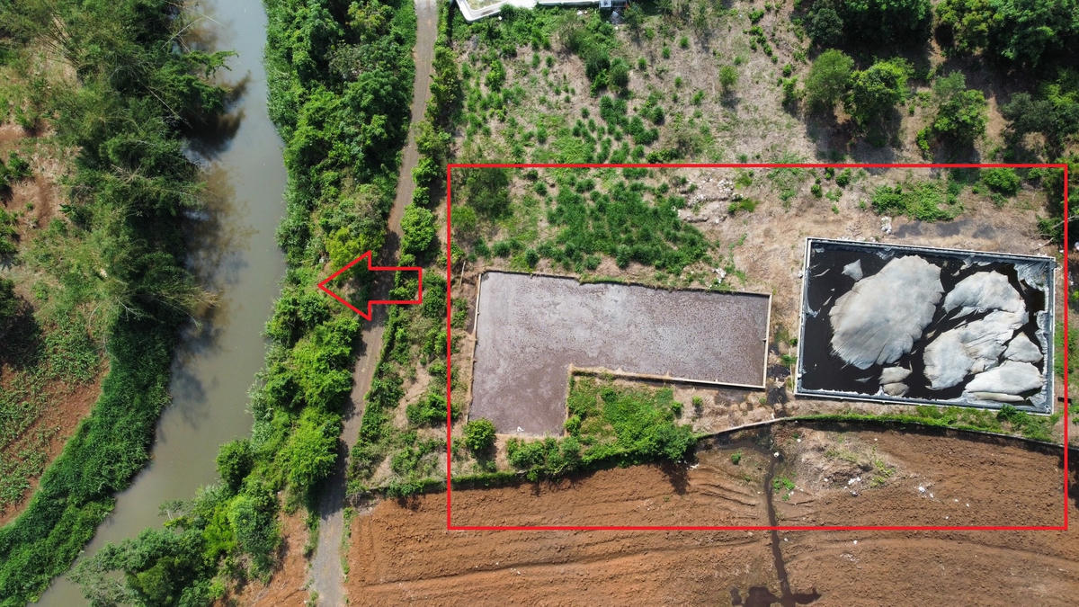 Bể chưa nước thải và hầm biogas (khoanh đỏ) của trang trại heo tại thửa đất số 21, tờ bản đồ địa chính số 36, xã Lộ 25, huyện Thống Nhất nằm ngay sát bờ suối. Ảnh: Mạnh Thìn.