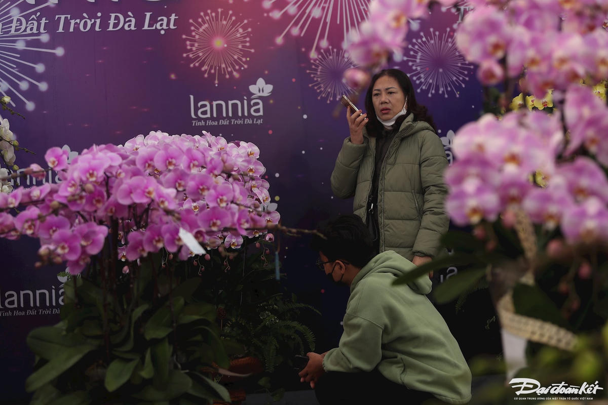W_hoa_lan_ho_diep_da_lat-le-khanh9.jpg