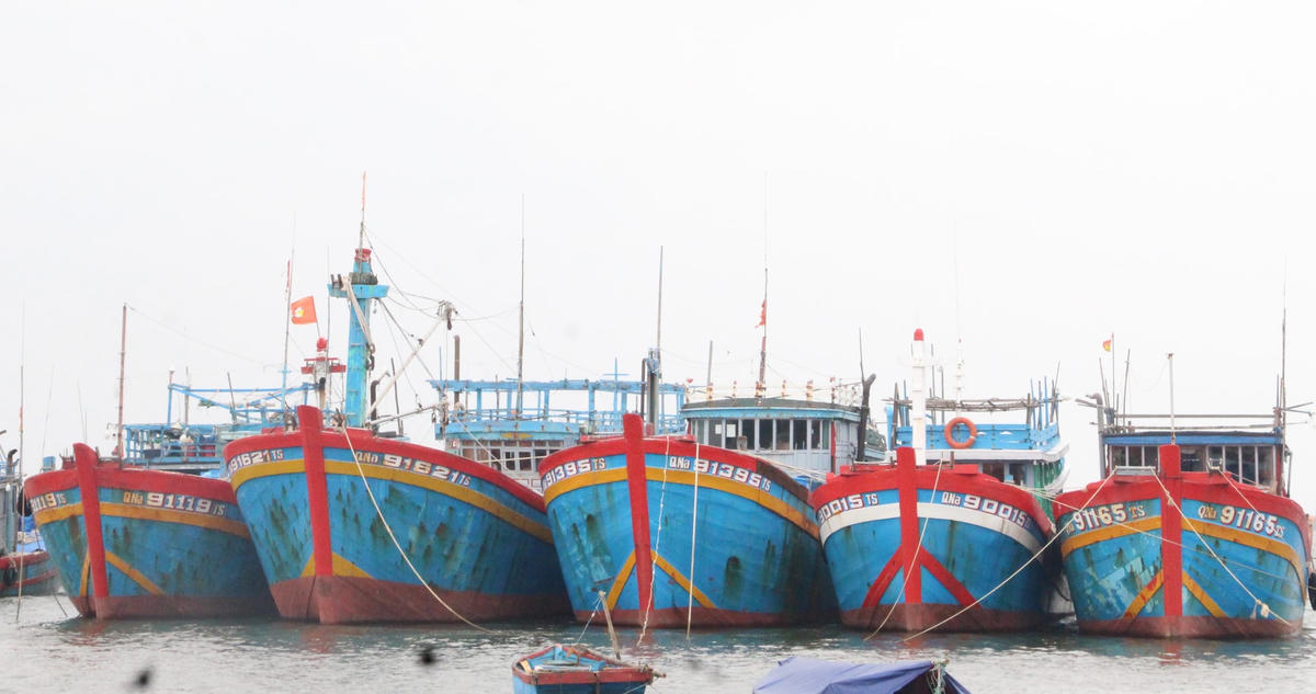 Tàu thuyền của ngư dân Quảng Nam neo đậu tại bờ.