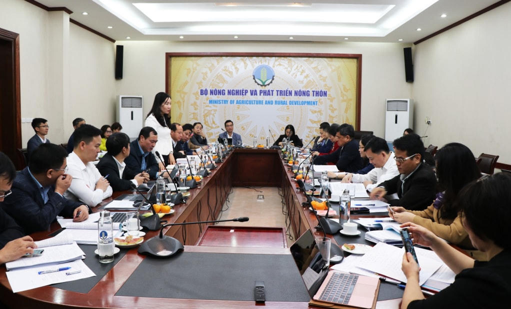 Quang cảnh buổi làm việc. Ảnh: QMG.