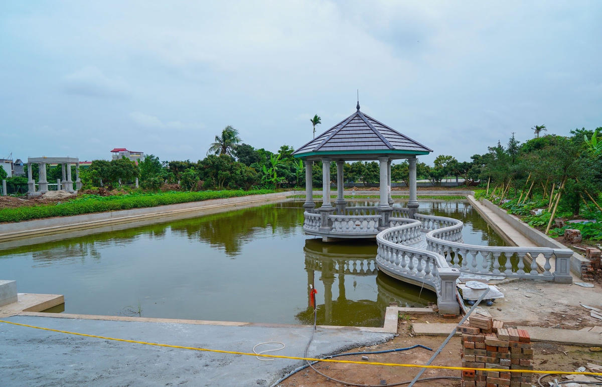 Hải Phòng: Cưỡng chế 'biệt phủ' xây trái phép trên đất nông trường
