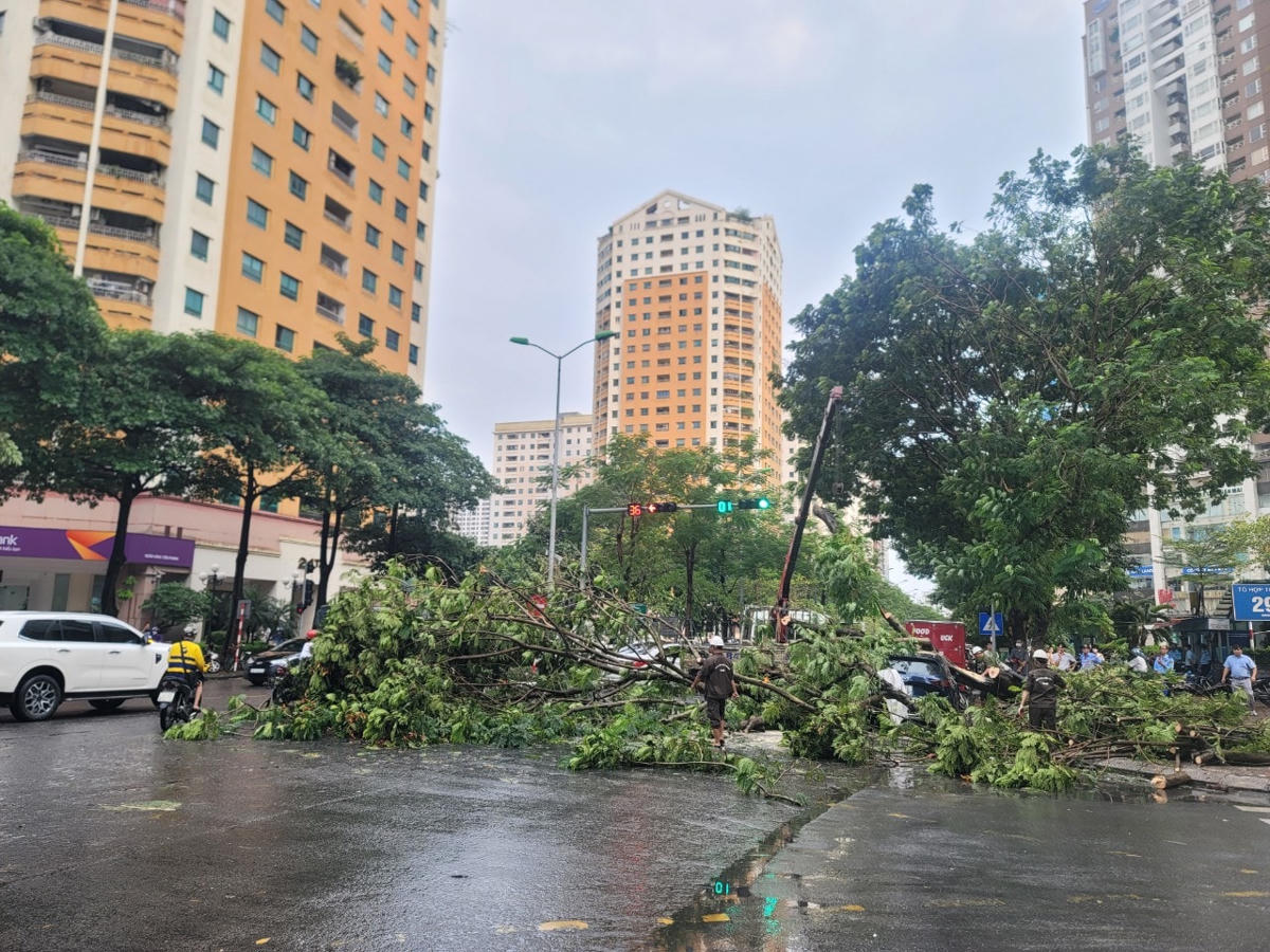 Vụ việc xảy ra ngay tại ngã tư đường Hoàng Đạo Thúy - Hoàng Ngân (phường Trung Hòa, quận Cầu Giấy). Cây đổ ngã chắn hết phần đường...