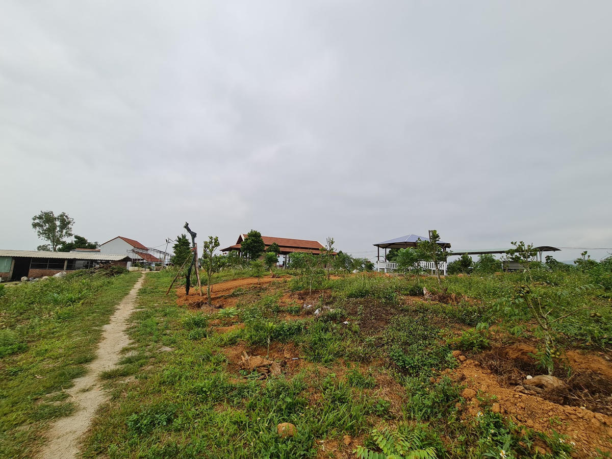 Một góc trang trại của ông Lê Văn Ninh.