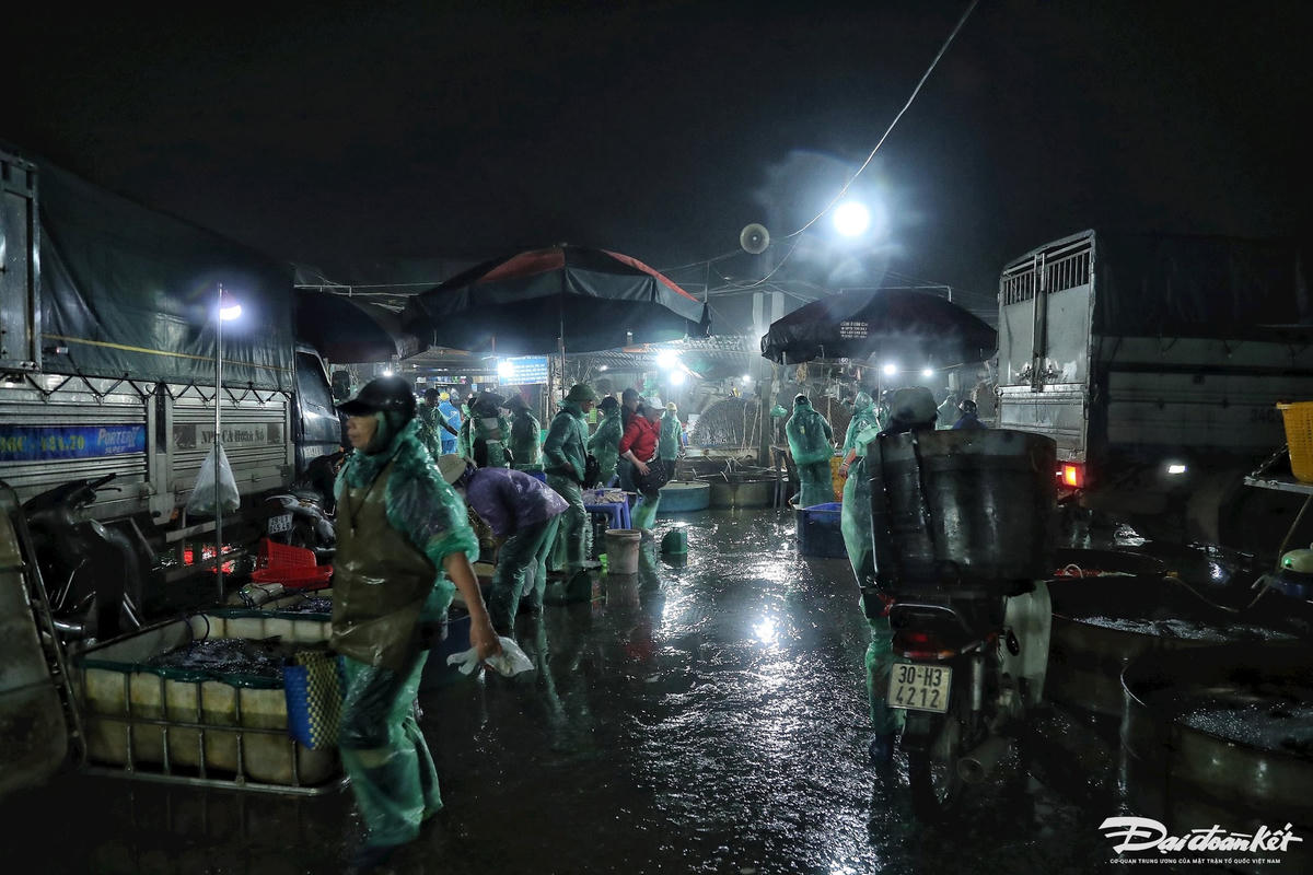 W_ca_chep_ong_cong_ong_tao-le-khanh25.jpg