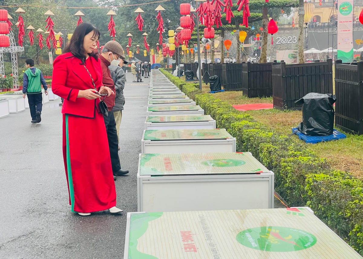 Độc giả tham quan Đường thơ trong Ngày thơ Việt Nam 2023. Ảnh: Thảo Nguyên.