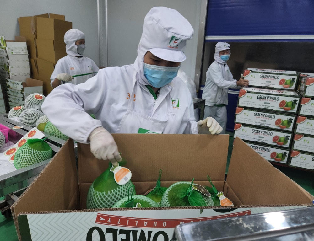 Nhiều dư địa xuất khẩu hàng nông sản sang thị trường EU.