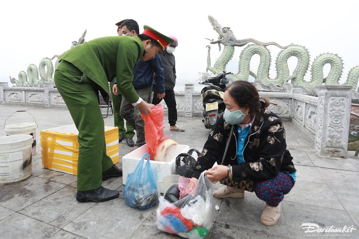 ca_chep_vang-le-khanh24.jpg