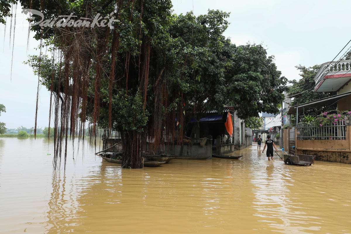 Sau trận mưa lớn, thôn Bùi Xá ở trong tình trạng ngập lụt cục bộ.