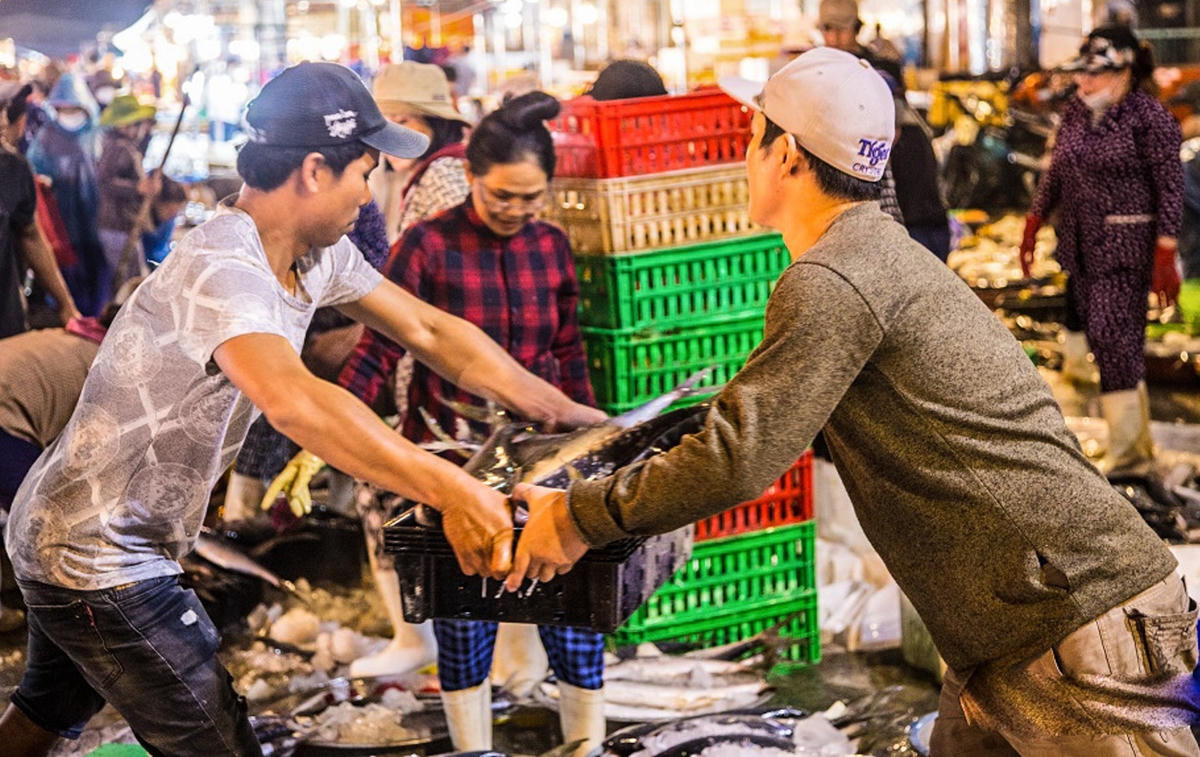 Chương trình “Cùng ngư dân thắp sáng đèn trên biển” đồng hành cùng ngư dân Đà Nẵng (Ảnh: BTC).