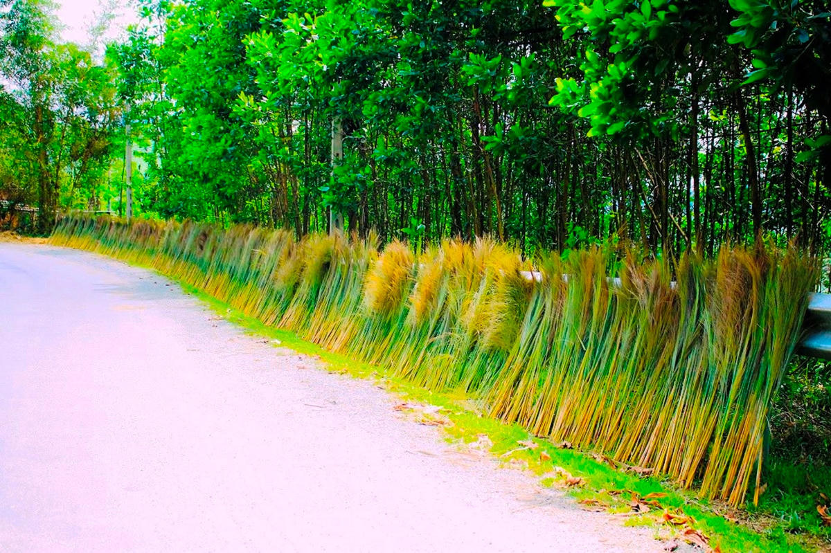 Người dân phơi đót dọc các tuyến đường đi.
