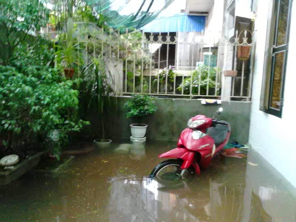 Nam Định: Đô thị ngập lụt, nông thôn lúa đổ, ngập cả chục nghìn ha sau mưa lớn kéo dài