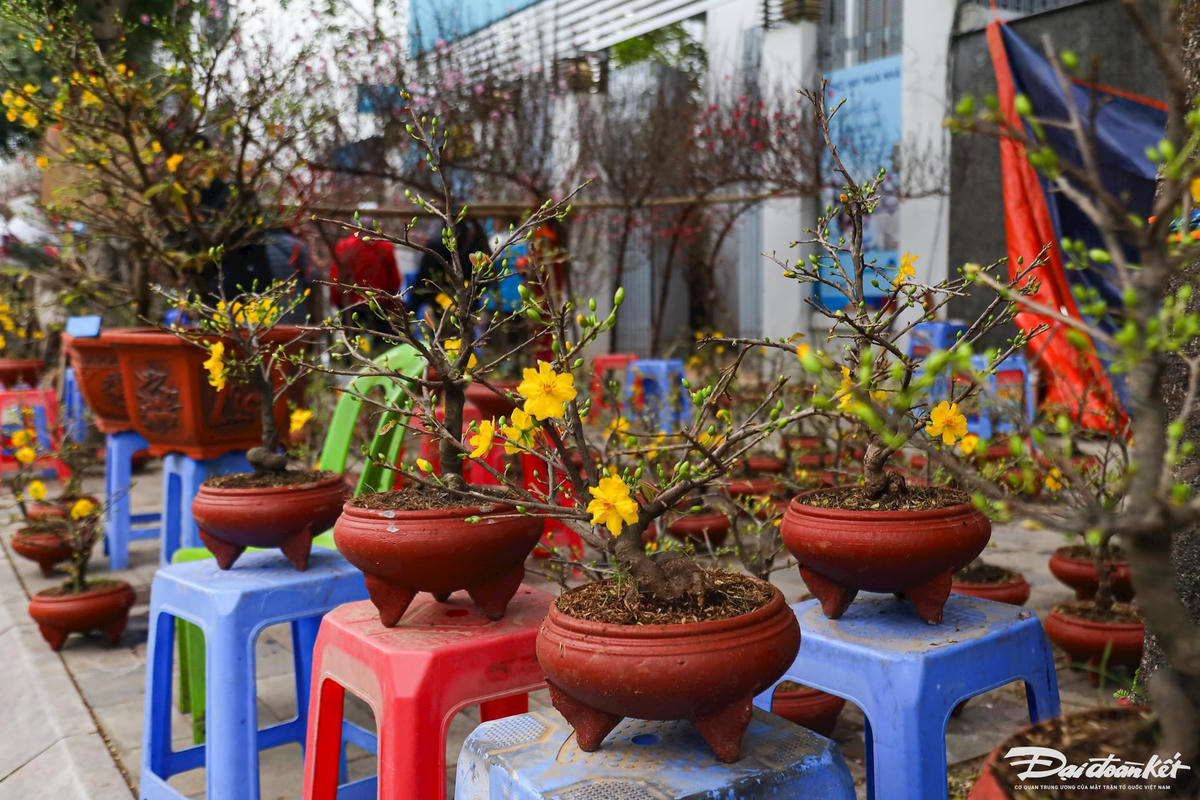 quat_dao-le-khanh2.jpg
