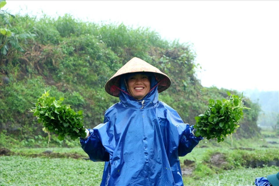 Hệ thống giếng cổ ở Gio An cung cấp nguồn nước tưới cho sản xuất nông nghiệp tại địa phương.  