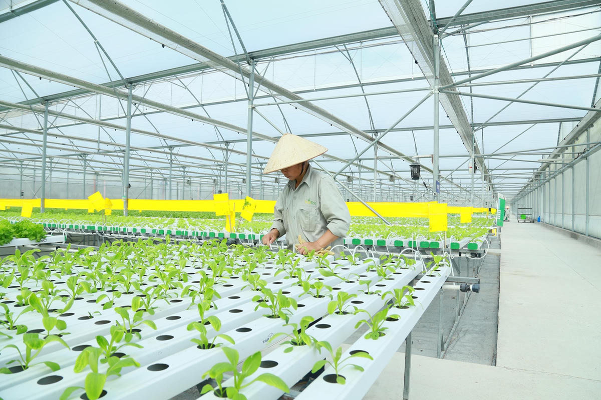 Đưa công nghệ vào sản xuất nông nghiệp khiến diện mạo nông thôn thay đổi từng ngày. Ảnh: Quang Vinh.