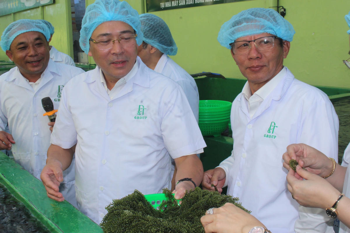 Ông Hoàng Công Thủy, Phó Chủ tịch Ủy ban Trung ương MTTQ Việt Nam, Phó Ban Chỉ đạo cùng đoàn công tác đang kiểm tra thực tế.