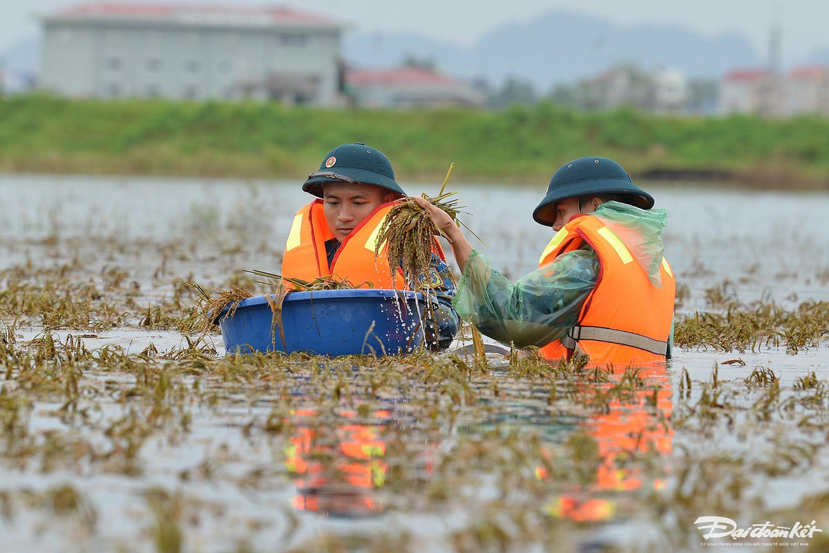 bo_doi_gat_lua-le-khanh1.jpg