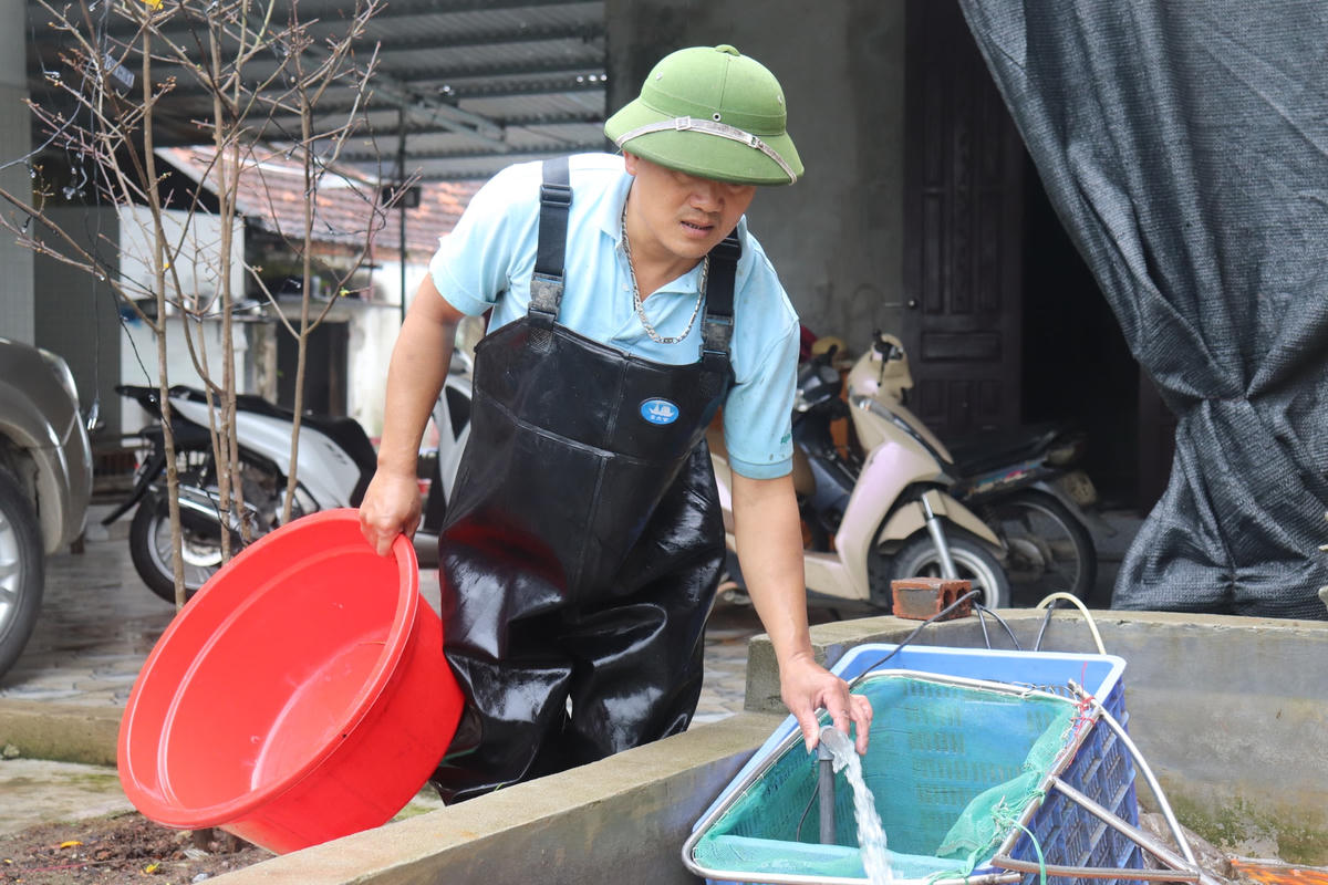 "Năm nay, giá thức ăn chăn nuôi tăng cao, giá cá thương phẩm lại thấp nhưng bù lại sản lượng cá thu hoạch lại đạt. So với các giống cá truyền thống thì nuôi cá chép đỏ có nhiều ưu thế hơn như sức đề kháng tốt, ít mắc dịch bệnh, thức ăn đơn giản và thời gian nuôi ngắn, nhanh cho thu hoạch”, anh Tiến cho biết thêm.